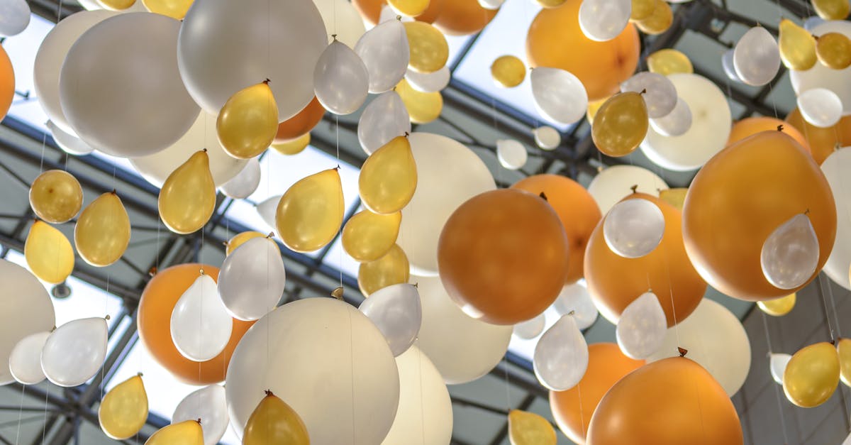 Blaxland, New South Wales