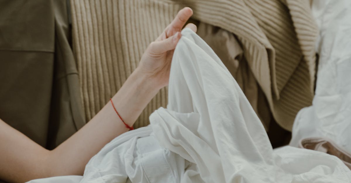 Padstow, New South Wales