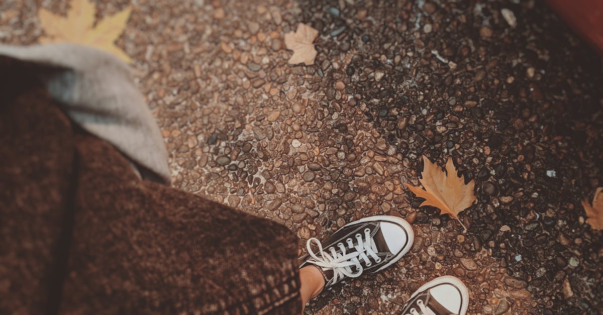 Review of walk-in wardrobe systems available in Sydney