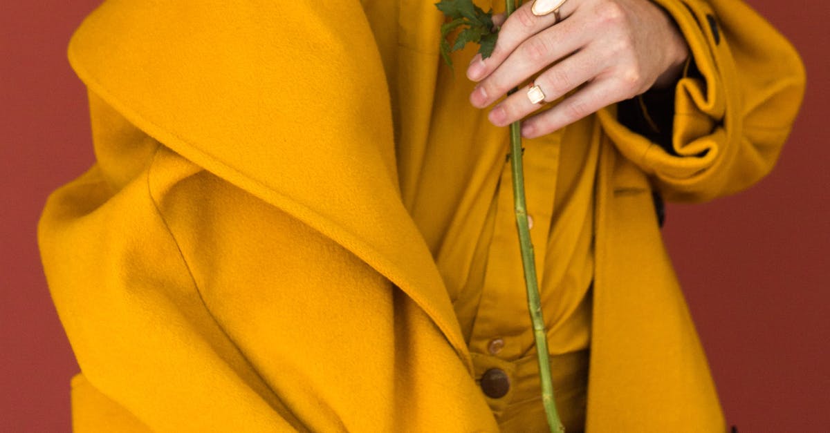 Wingham, New South Wales